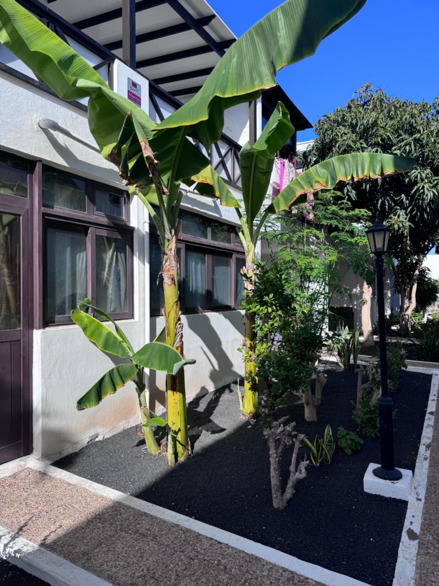 Casa Ana Puerto Del Carmen Apartment Tias Exterior photo